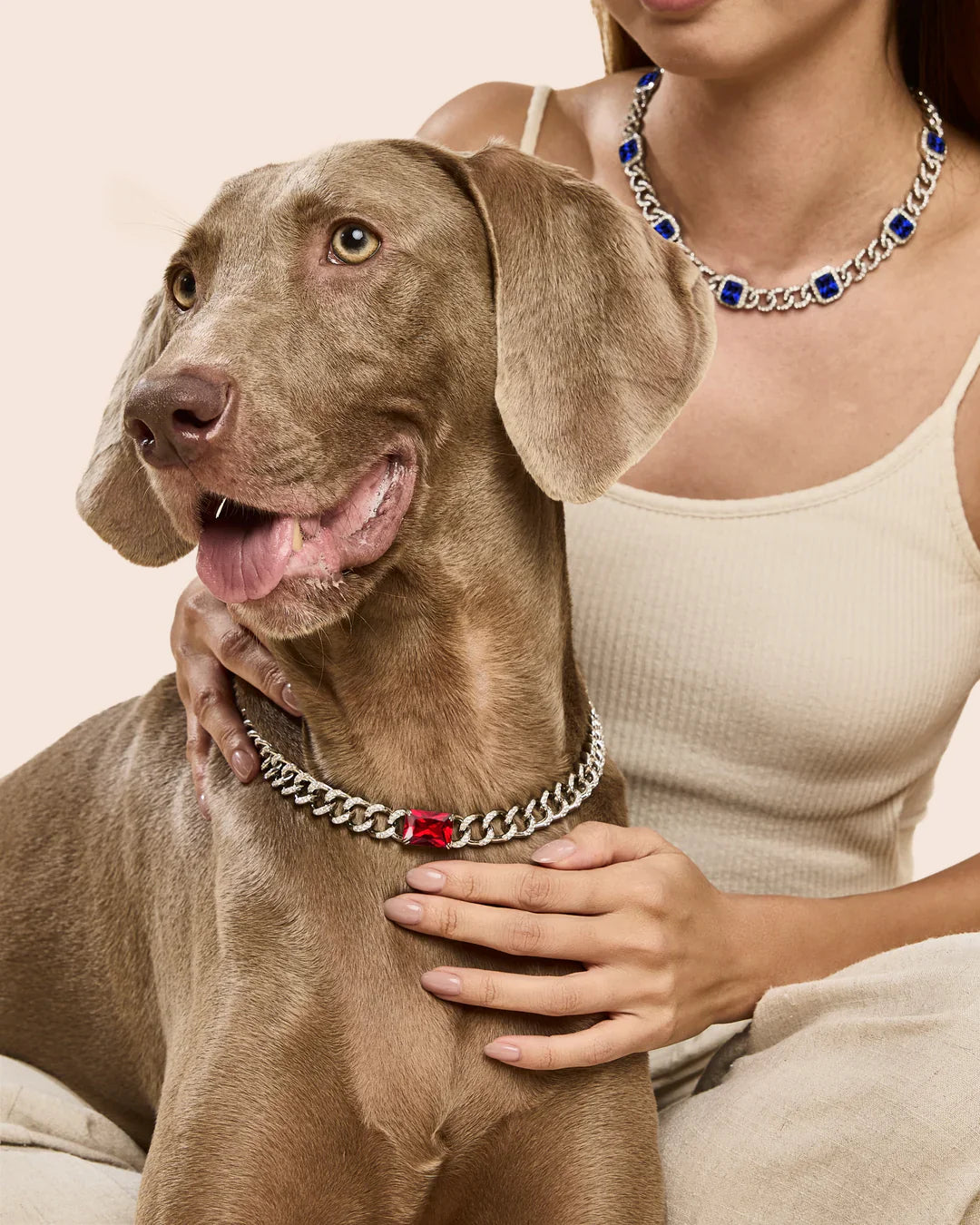 Pet Care & Accessories