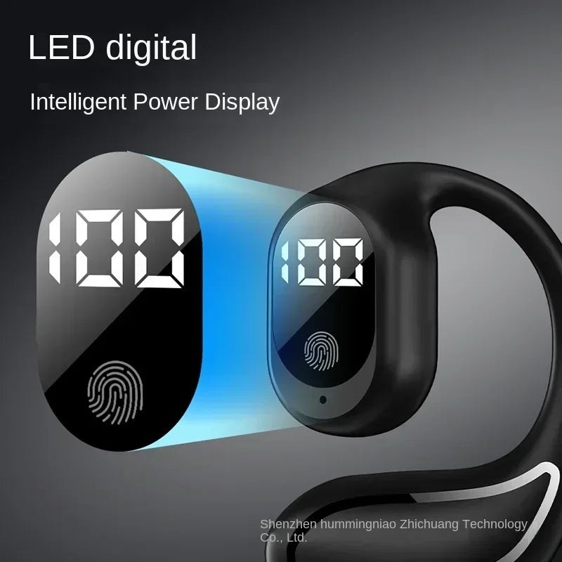 S3710325d8dd448f2ae8cff4919a3169dM