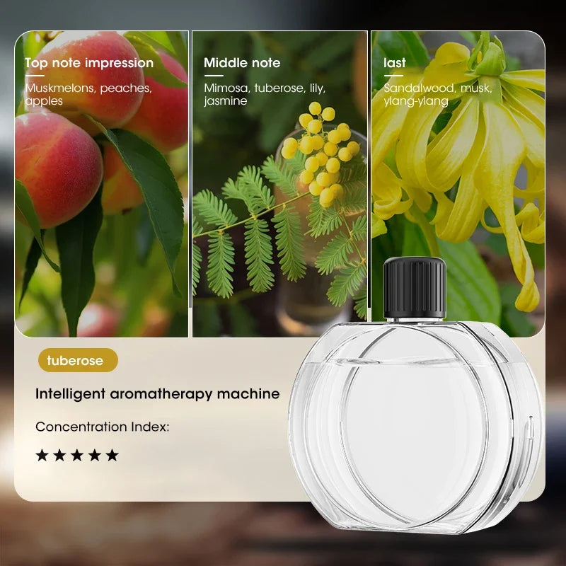 Sc5590439156b420b9b2f0197680f61c5A